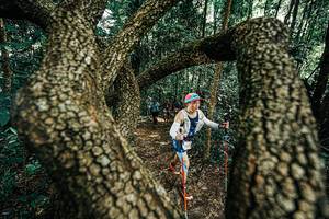 BIB: 
                            <button type="button" onclick="openModal(25392632)" class="btn btn-primary btn-sm float-right btn-popup" data-toggle="modal" data-target=".modal-high-quality">
                        <i class="fas fa-shopping-cart"></i> Add to Cart
                    </button>
                                            <button type="button" onclick="isThisMe(25392632, true)" class="btn btn-success btn-sm float-right btn-popup btn-isme hidden" data-toggle="tooltip" data-placement="bottom" title="นี่คือรูปของคุณใช่ไหม คลิกที่นี่เพื่อเอาเข้าอัลบั้ม">
                        <i class="fas fa-plus"></i> Add to album
                    </button>
                    <button type="button" onclick="isThisMe(25392632, false)" class="btn btn-warning btn-sm float-right btn-popup btn-isnotme hidden">
                        <i class="fas fa-ban"></i> Remove from album
                    </button>